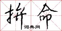 拚命怎么写好看