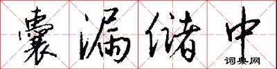 囊漏储中怎么写好看
