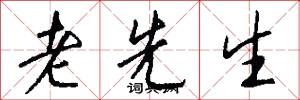 老先生怎么写好看