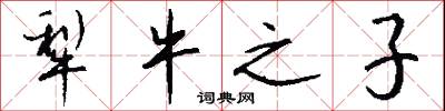 犁牛之子怎么写好看