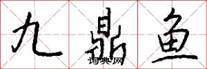 九鼎鱼怎么写好看