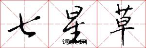 七星草怎么写好看