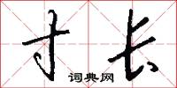 寸长怎么写好看