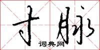 寸脉怎么写好看