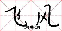 飞风怎么写好看