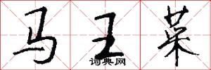 马王菜怎么写好看