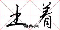 土着怎么写好看