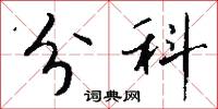 分科怎么写好看