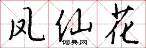凤仙花怎么写好看