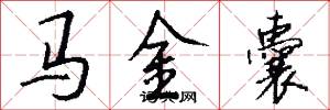 马金囊怎么写好看