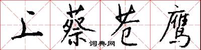 上蔡苍鹰怎么写好看