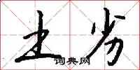 土劣怎么写好看