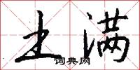 土满怎么写好看