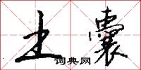 土囊怎么写好看