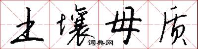 土壤母质怎么写好看