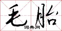 毛胎怎么写好看