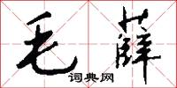 毛薛怎么写好看