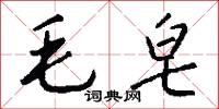 毛皂怎么写好看