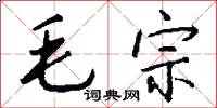 毛宗怎么写好看
