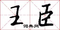 王臣怎么写好看