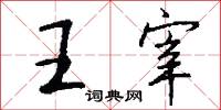 王宰怎么写好看