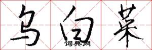 乌白菜怎么写好看