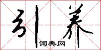 引养怎么写好看