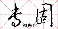 专固怎么写好看