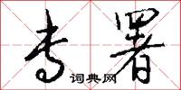 专署怎么写好看