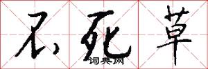 不死草怎么写好看