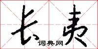 长夷怎么写好看
