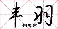 丰羽怎么写好看
