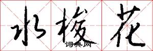水梭花怎么写好看