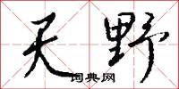 天野怎么写好看
