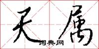 天属怎么写好看