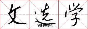 文选学怎么写好看