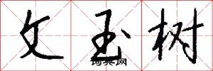 文玉树怎么写好看