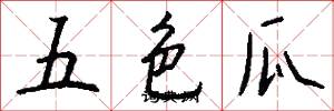 五色瓜怎么写好看