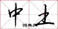 中土怎么写好看