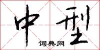 中型怎么写好看
