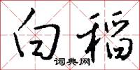 白稻怎么写好看