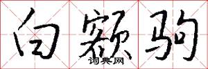 白额驹怎么写好看