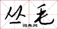 丛毛怎么写好看