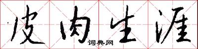 皮肉生涯怎么写好看