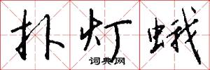扑灯蛾怎么写好看