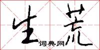 生荒怎么写好看