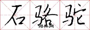 石骆驼怎么写好看