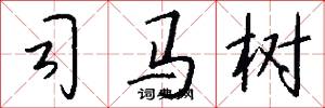 司马树怎么写好看