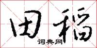 田稻怎么写好看