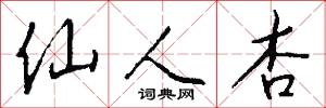 仙人杏怎么写好看